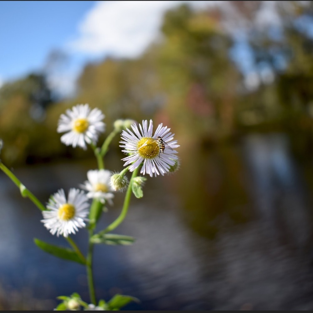 Meet your Posher, Jade